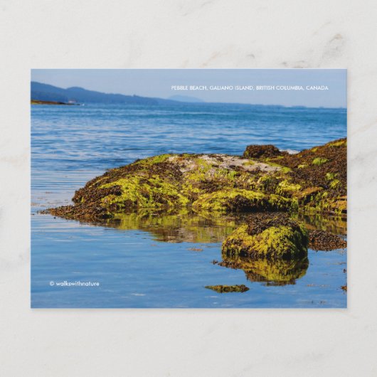 Pebble Beach, Galiano Island, British Columbia Briefkaart (Voorkant)