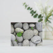 Pebbles Briefkaart (Staand voorkant)