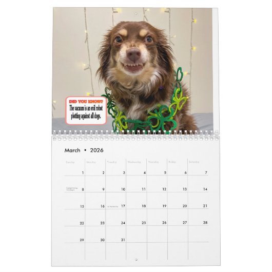 Pebbles' Calendar Kalender (Mar 2026)