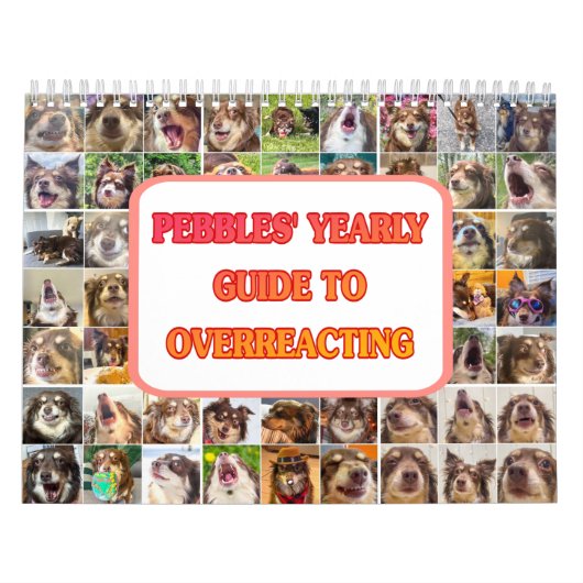 Pebbles' Calendar Kalender (Hoes)