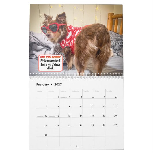 Pebbles' Calendar Kalender (Feb 2027)