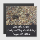 Pebbles in Taylor Creek Natuur Foto Opslaan van de (Voorkant / Achterkant)