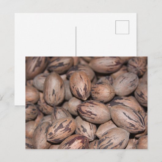 Pecan Briefkaart (Voorkant / Achterkant)