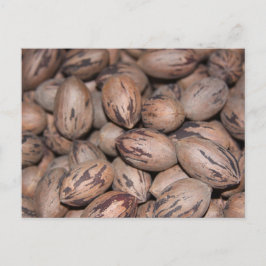 Pecan Briefkaart