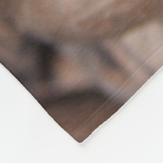 Pecan Fleece Blanket Deken (Hoek)