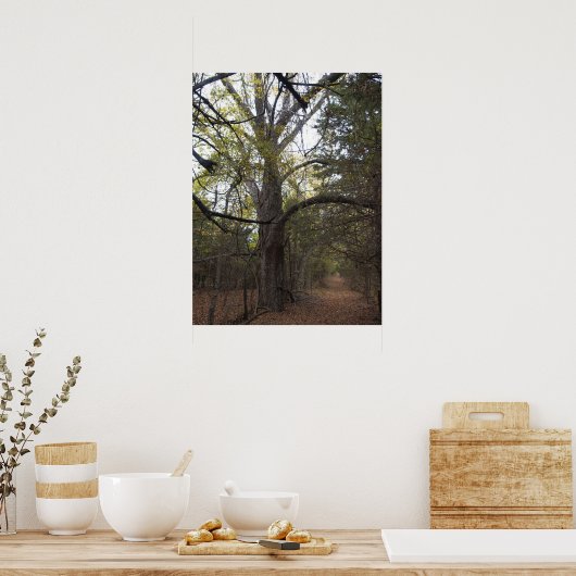 Pecan Gateway Poster (Keuken)