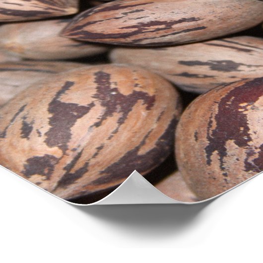 Pecan Poster (Hoek)