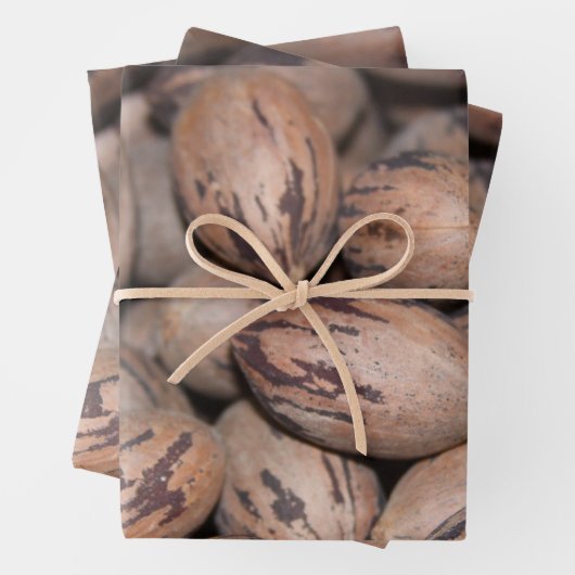 Pecan Wrapping Paper (In situ)