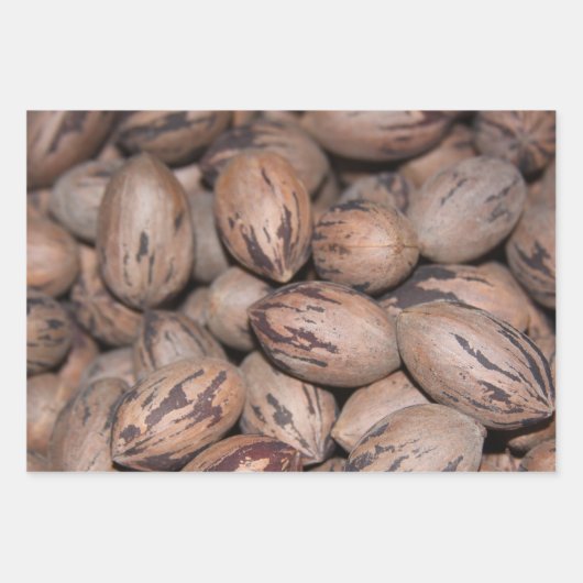 Pecan Wrapping Paper (Voorkant)