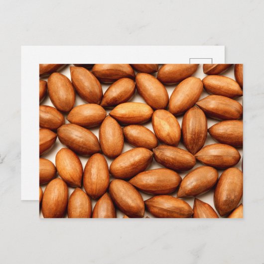 Pecannoten Briefkaart (Voorkant / Achterkant)