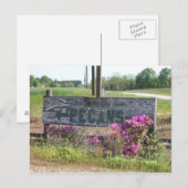 Pecans This Way Sign w Azaleas Briefkaart (Voorkant / Achterkant)