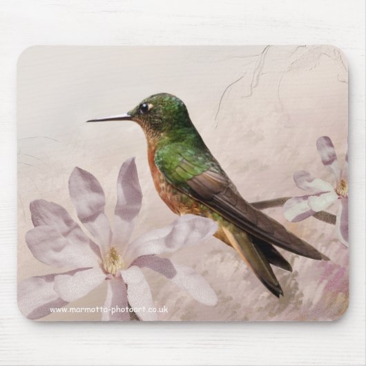 Pechicastaños Mousemat Muismat (Voorkant)