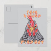 Peck Around Ontdek het - kippenpikorde Briefkaart (Voorkant / Achterkant)