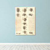 Peck, Stow en Wilcox Company Canvas Afdruk (Insitu (Houten vloer))