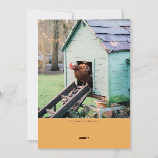 Peck the Halls Funny Chicken Christmas Feestdagenkaart (Achterkant)