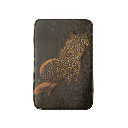 Peckoltia Compta Badmat (Voorkant Verticaal)