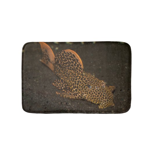 Peckoltia Compta Badmat (Voorkant)