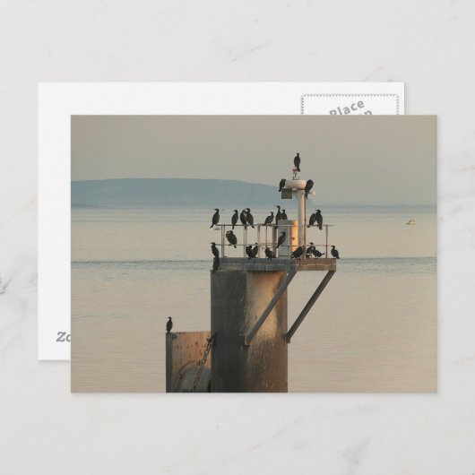 Peckvolgorde Briefkaart (Voorkant / Achterkant)