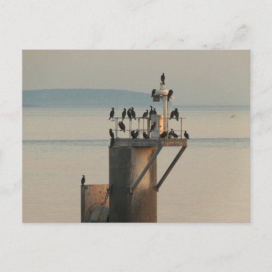 Peckvolgorde Briefkaart (Voorkant)