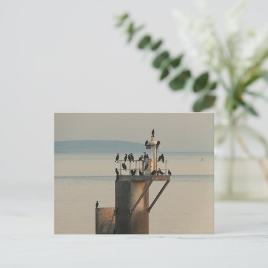 Peckvolgorde Briefkaart (Staand voorkant)