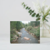 Pecos River, Santa Fe National Forest, New Mexico Briefkaart (Staand voorkant)