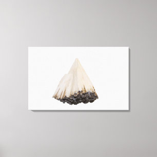 Pectolitekristallen, New Jersey, Verenigde Staten  Canvas Afdruk