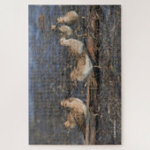 Pectorale Sandpipers op het strand Legpuzzel (Verticaal)