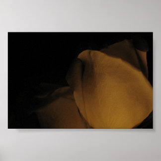 Pedalen van een roos poster