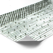 "Pedantius" Poster (Hoek)