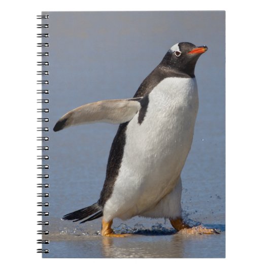 Peddelende Gentoo Notebook Notitieboek (Voorkant)