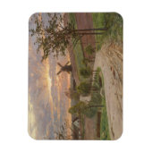 Peder Mønste-Country Road, Windmill, Sunset|  Magneet (Verticaal)