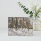 Peder Monsted - Snowy forest road in sunlight Briefkaart (Staand voorkant)
