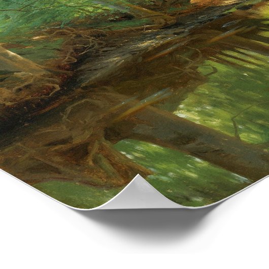 Peder Mørk Mønsted Forest stream 1896 Poster (Hoek)