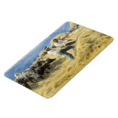 Peder Severin Kroyer - Drempelwaarde in de Abruzze Magneet (Linkerzijde)