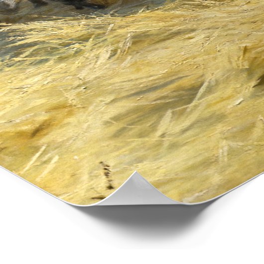 Peder Severin Kroyer - Drempelwaarde in de Abruzze Poster (Hoek)