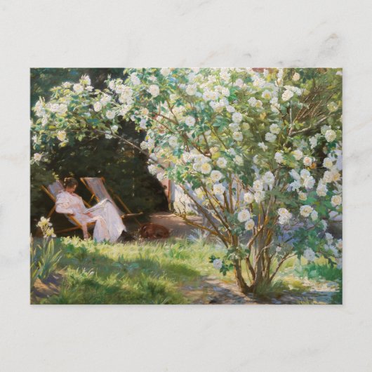 Peder Severin Kroyer - Rozen Briefkaart (Voorkant)