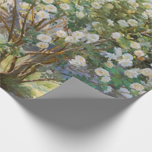 Peder Severin Kroyer - Rozen Cadeaupapier (Hoek)