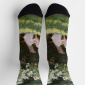 Peder Severin Kroyer - Rozen Sokken (Top)