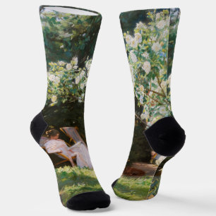 Peder Severin Kroyer - Rozen Sokken