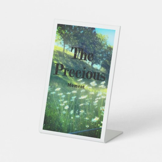 Pedestal Sign Reclamebord Met Voetstuk (Voorkant)