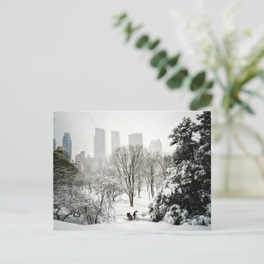Pedicab in Central Park During Winter Briefkaart (Staand voorkant)