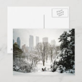 Pedicab in Central Park During Winter Briefkaart (Voorkant / Achterkant)