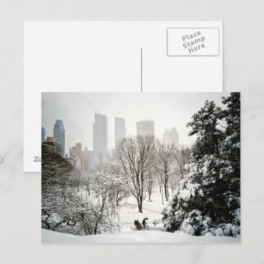 Pedicab in Central Park During Winter Briefkaart (Voorkant / Achterkant)