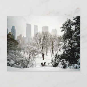 Pedicab in Central Park During Winter Briefkaart