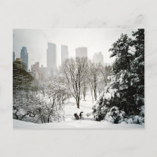 Pedicab in Central Park During Winter Briefkaart