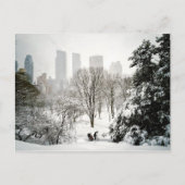 Pedicab in Central Park During Winter Briefkaart (Voorkant)