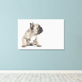 Pedigree puppy canvas afdruk (Insitu (Houten vloer))