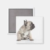 Pedigree puppy magneet (Voorkant / Achterkant)