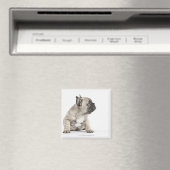 Pedigree puppy magneet (Insitu (Vaatwasser))