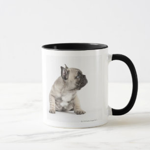 Pedigree puppy mok
